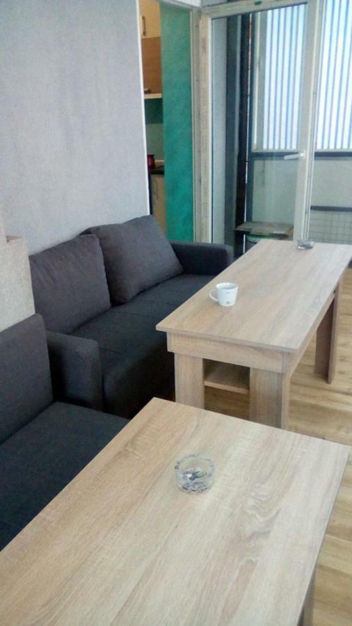 Apartmani Spasic 莱斯科瓦茨 外观 照片